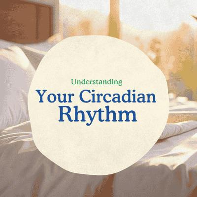 Understanding Your Circadian Rhythm